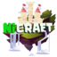 NiCraft Network